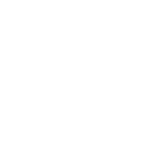 Filter Aid